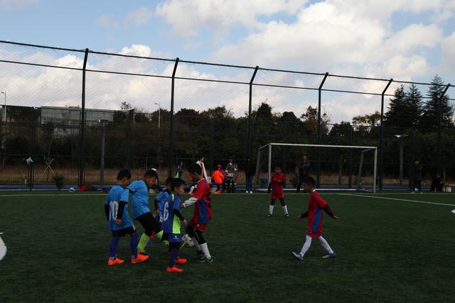 女排世联赛中国3-0轻取德国 4将得分上双夺第7胜